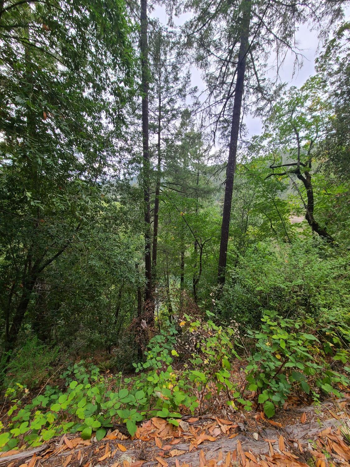 Photo of 11348 Terrace Dr in Forestville, CA