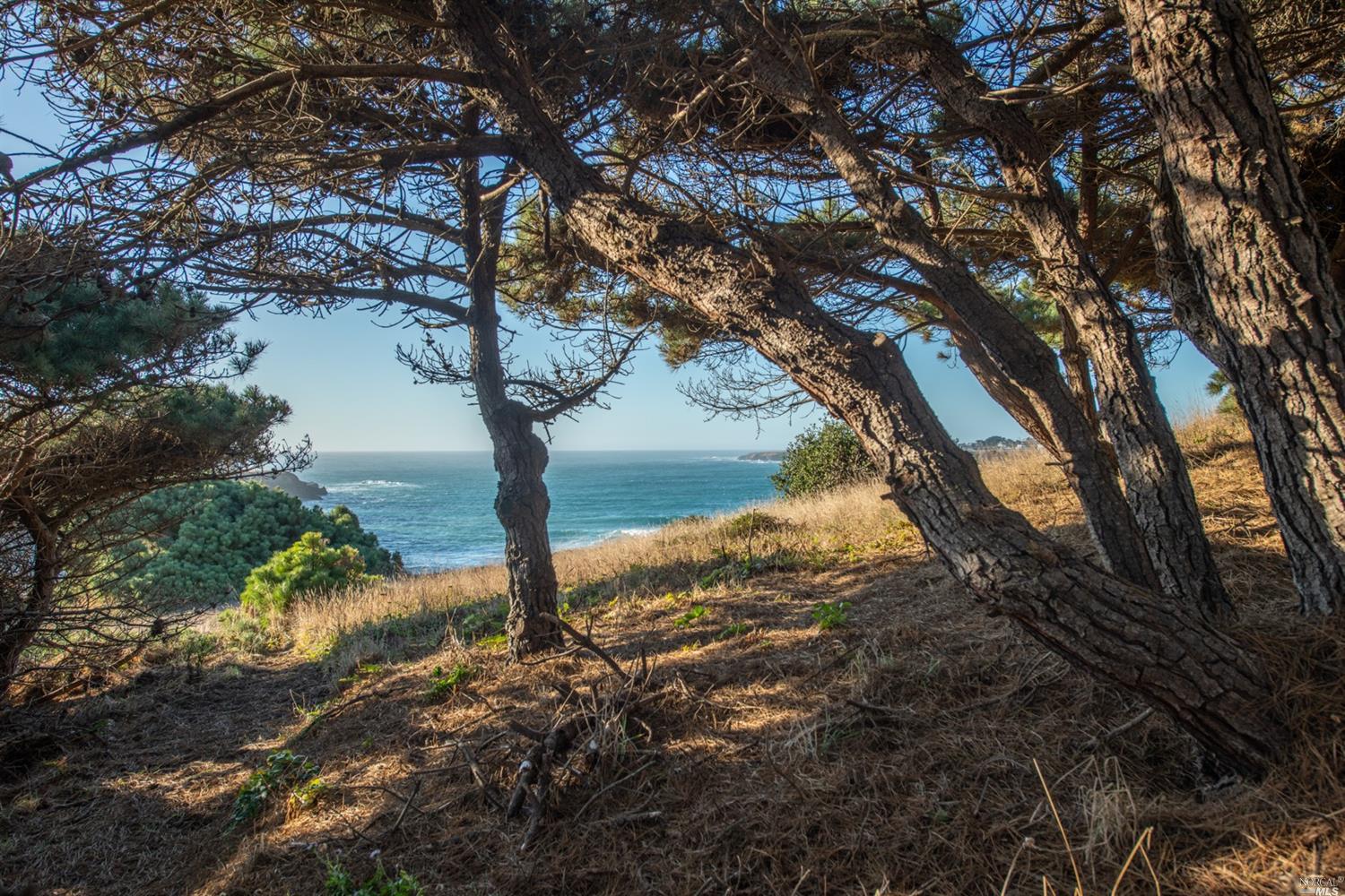 Detail Gallery Image 38 of 60 For 9350 N Highway 1 Unkn, Mendocino,  CA 95460 - 4 Beds | 4 Baths