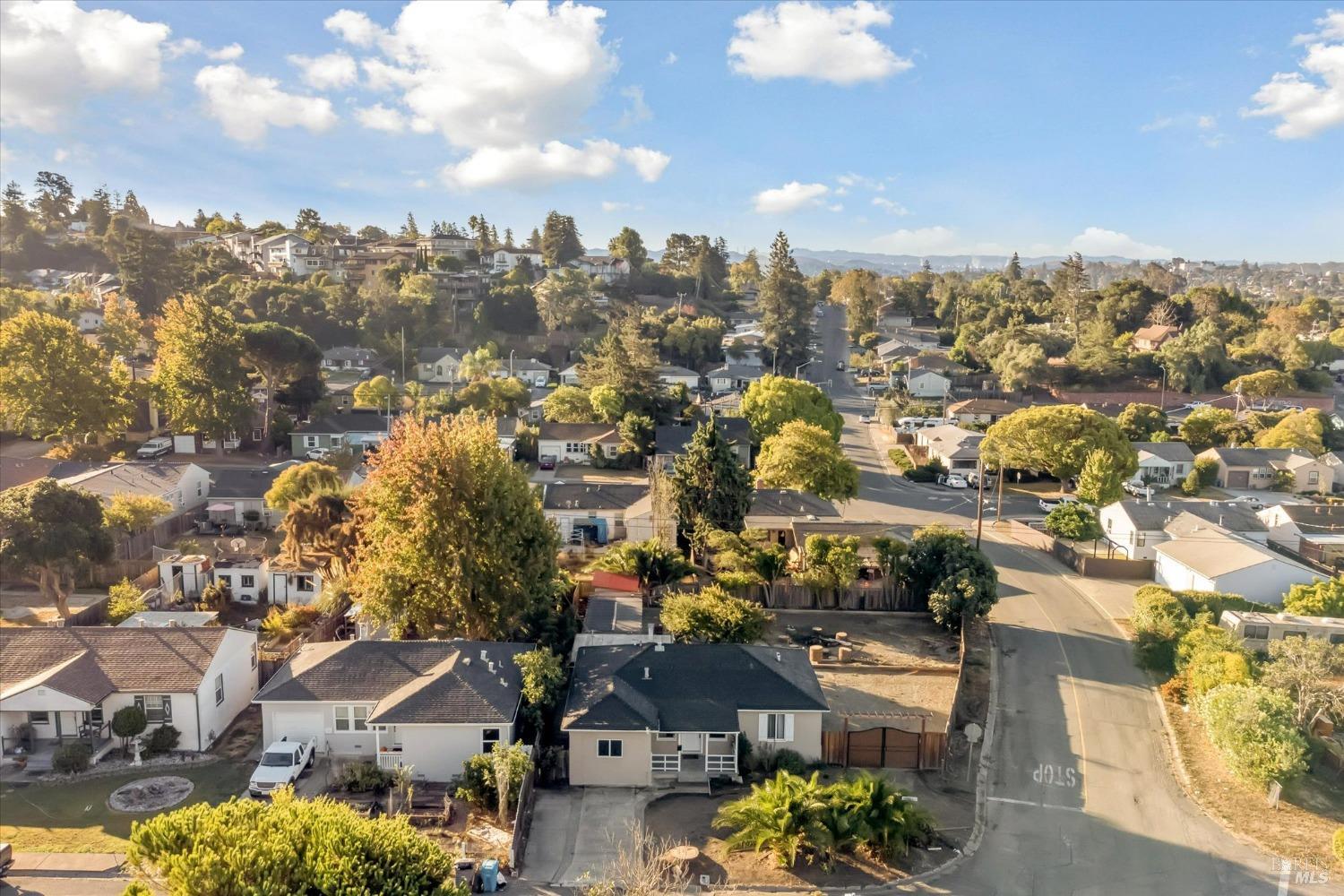 Hermosa Avenue, Vallejo, California image 42