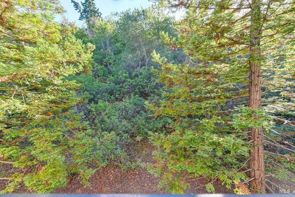 Frisbie Street #310, Vallejo, California image 23