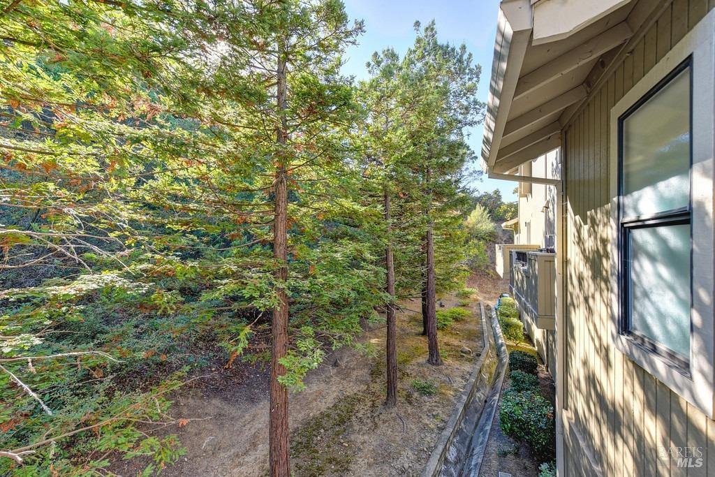 Frisbie Street #310, Vallejo, California image 25