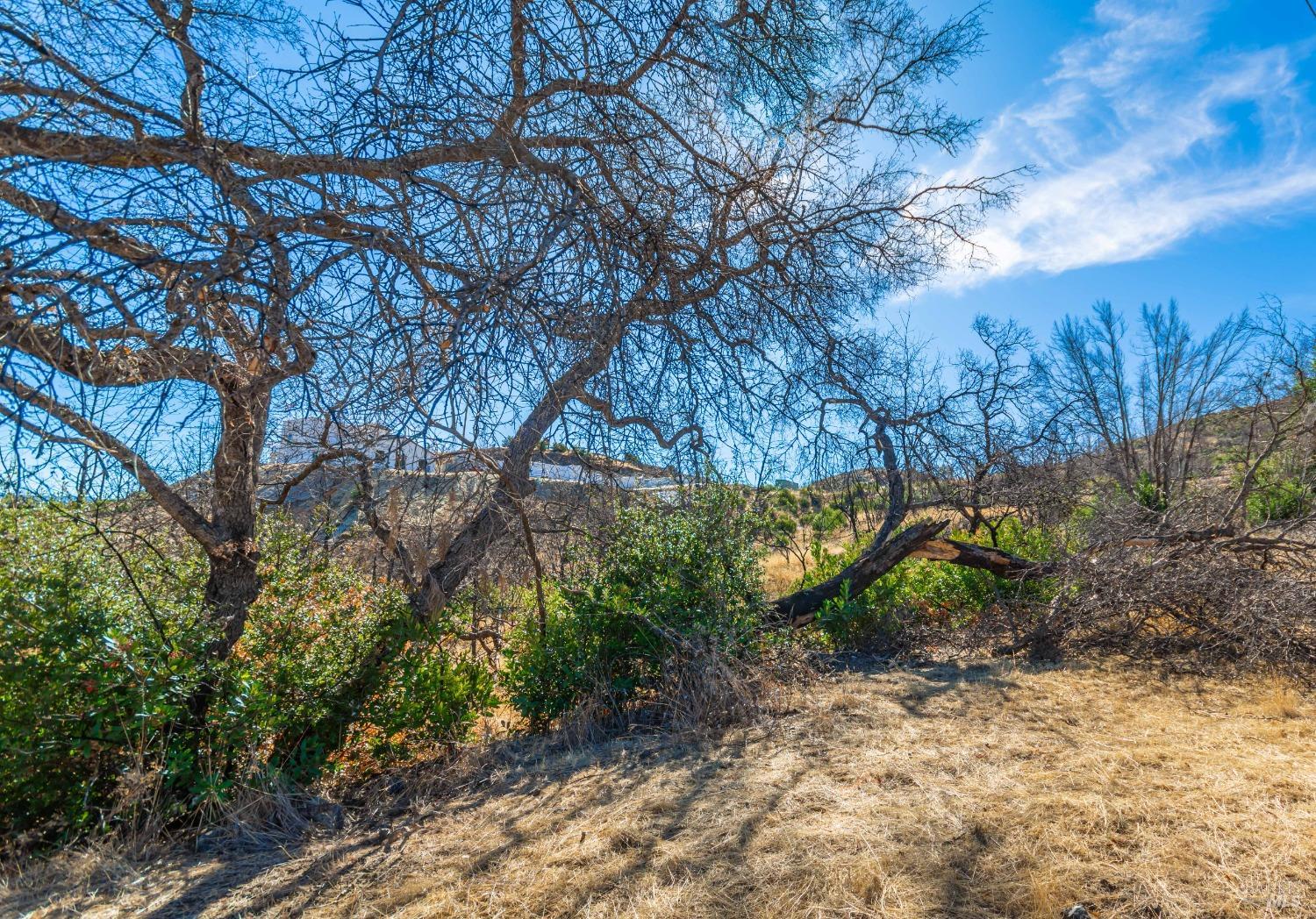 Detail Gallery Image 36 of 58 For 0 Live Oak Ln, Napa,  CA 94558 - – Beds | – Baths