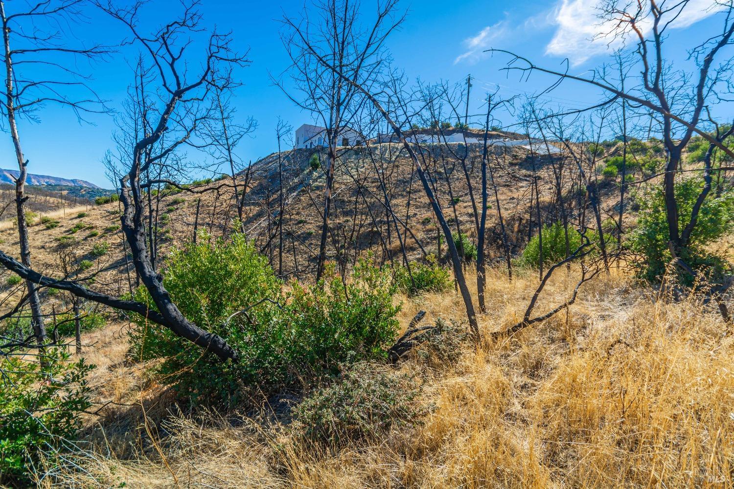 Detail Gallery Image 49 of 58 For 0 Live Oak Ln, Napa,  CA 94558 - – Beds | – Baths