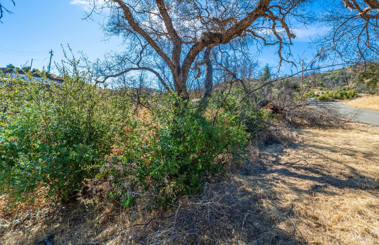 Detail Gallery Image 37 of 58 For 0 Live Oak Ln, Napa,  CA 94558 - – Beds | – Baths