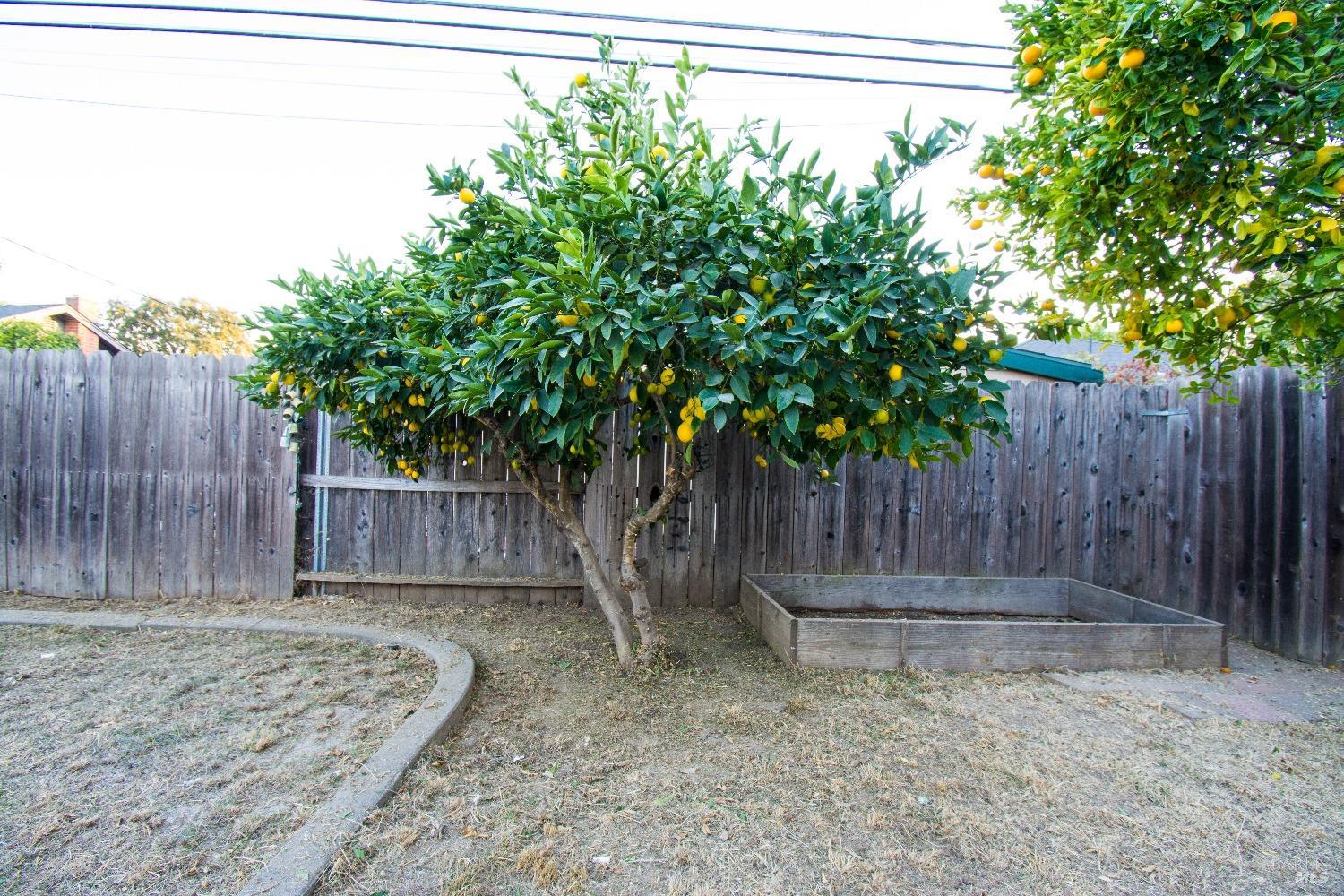 Cottonwood Street, Vacaville, California image 44