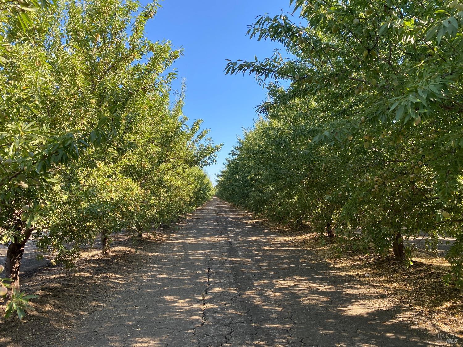 Rio Vista Road, Dixon, California image 4