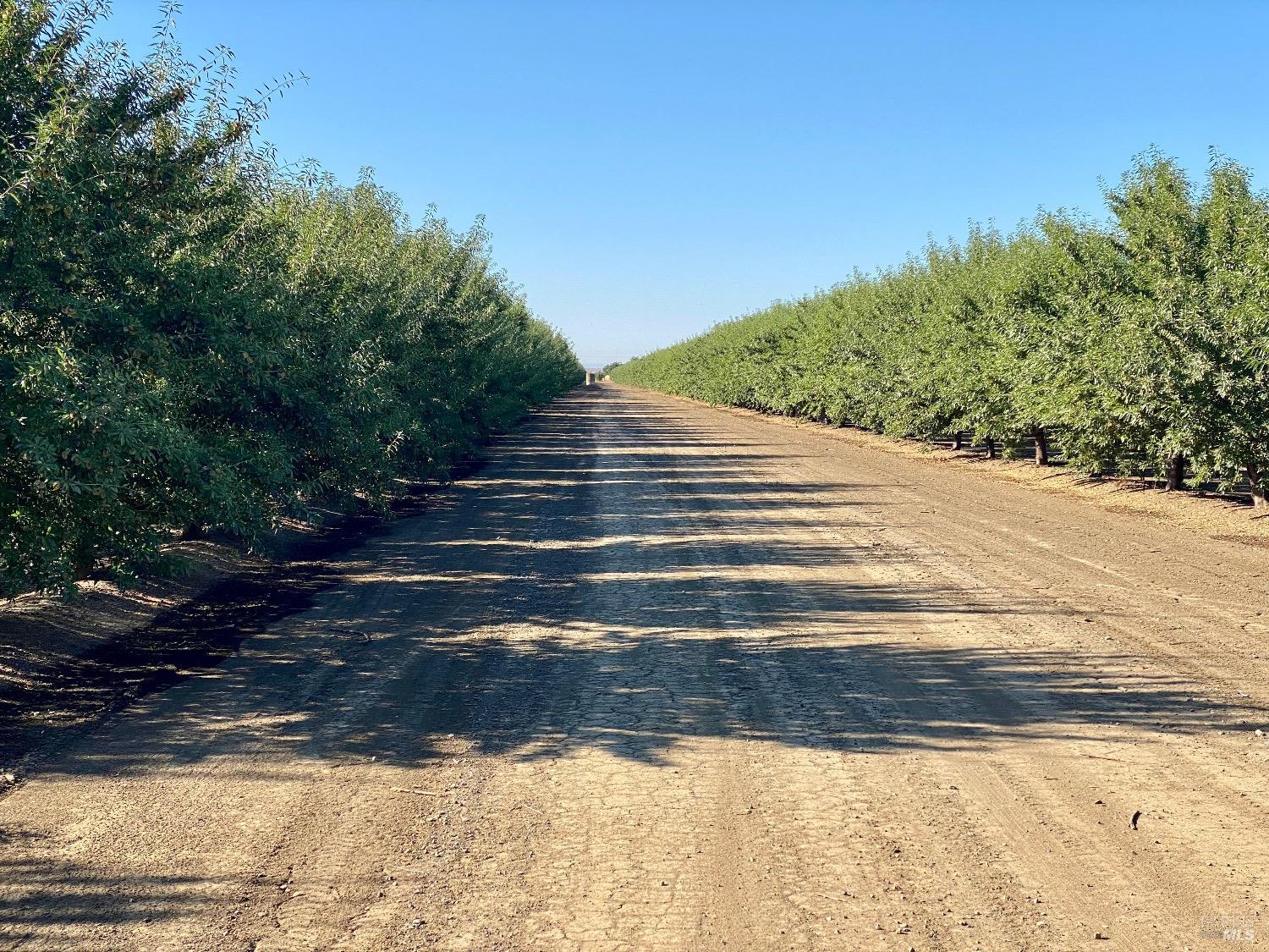Rio Vista Road, Dixon, California image 2