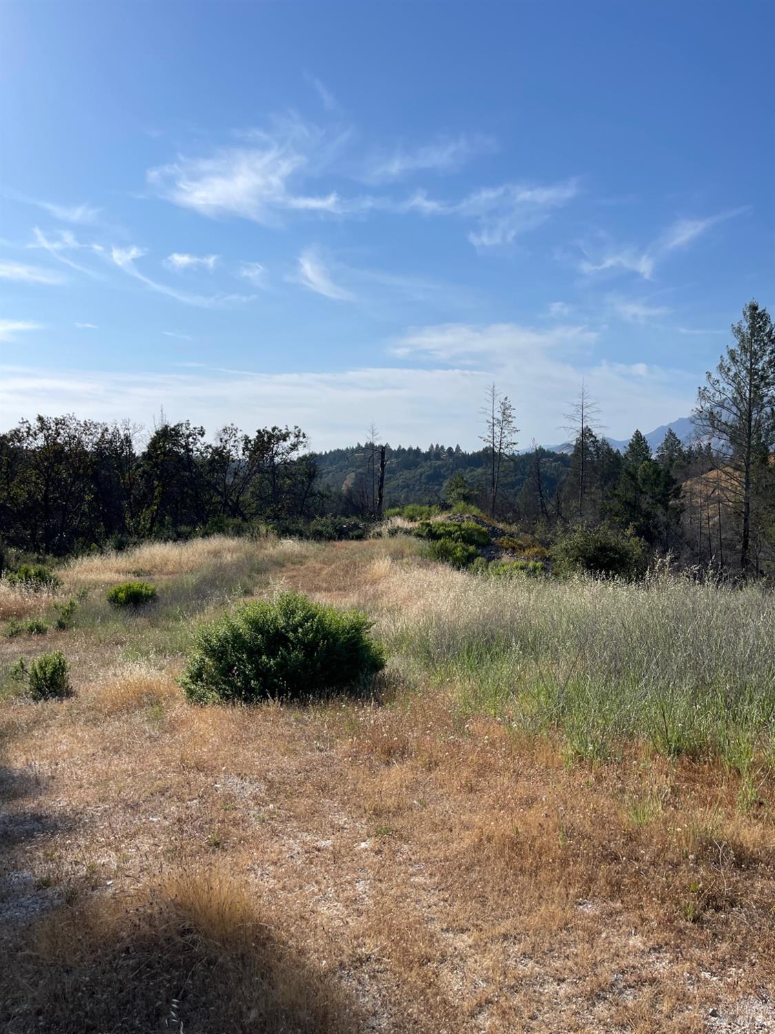 Detail Gallery Image 3 of 7 For 1635 Diamond Mountain Rd, Calistoga,  CA 94515 - – Beds | – Baths