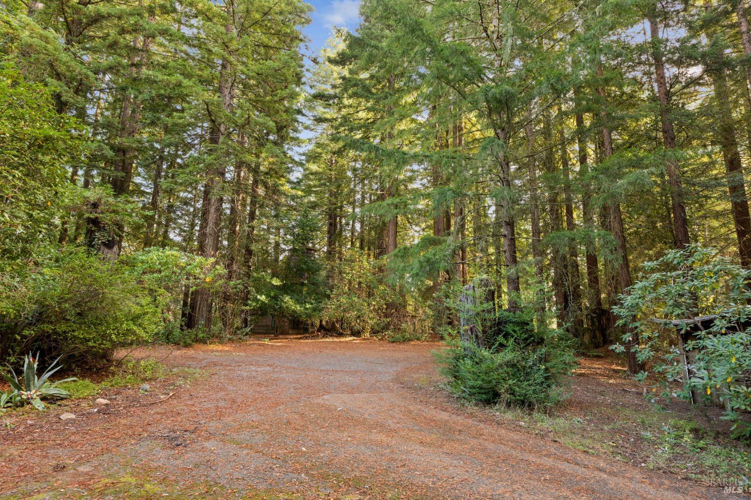 Photo of 17500 Willow Creek Rd in Occidental, CA