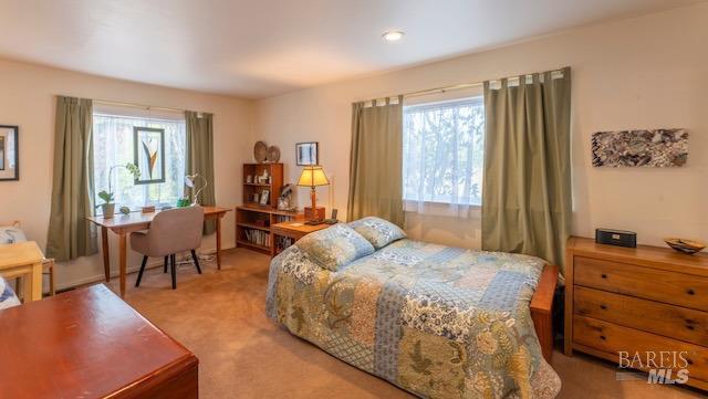 Detail Gallery Image 20 of 26 For 44561 Gordon Ln, Mendocino,  CA 95460 - 3 Beds | 2 Baths