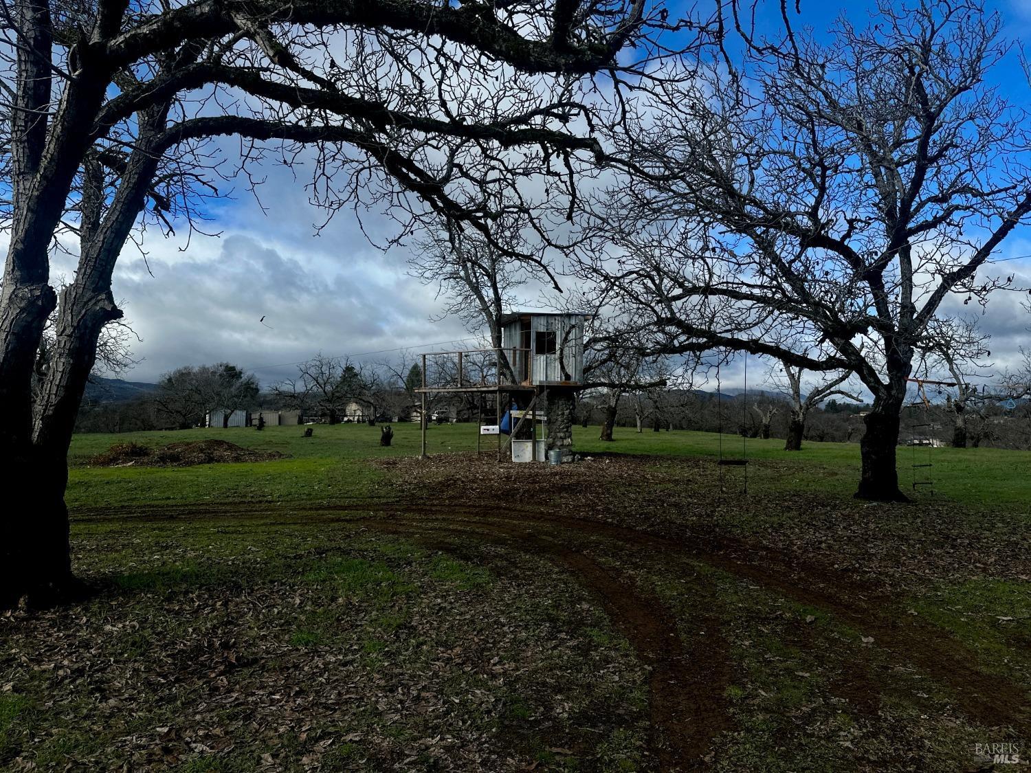 Eleventh Street, Lakeport, California image 18