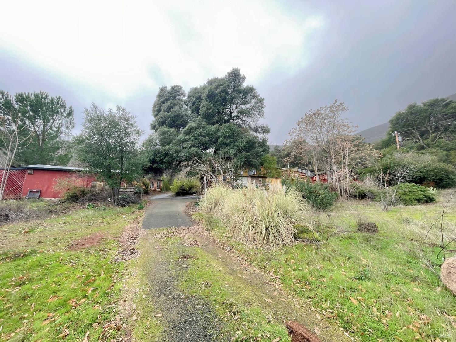 Soda Bay Road, Kelseyville, California image 4