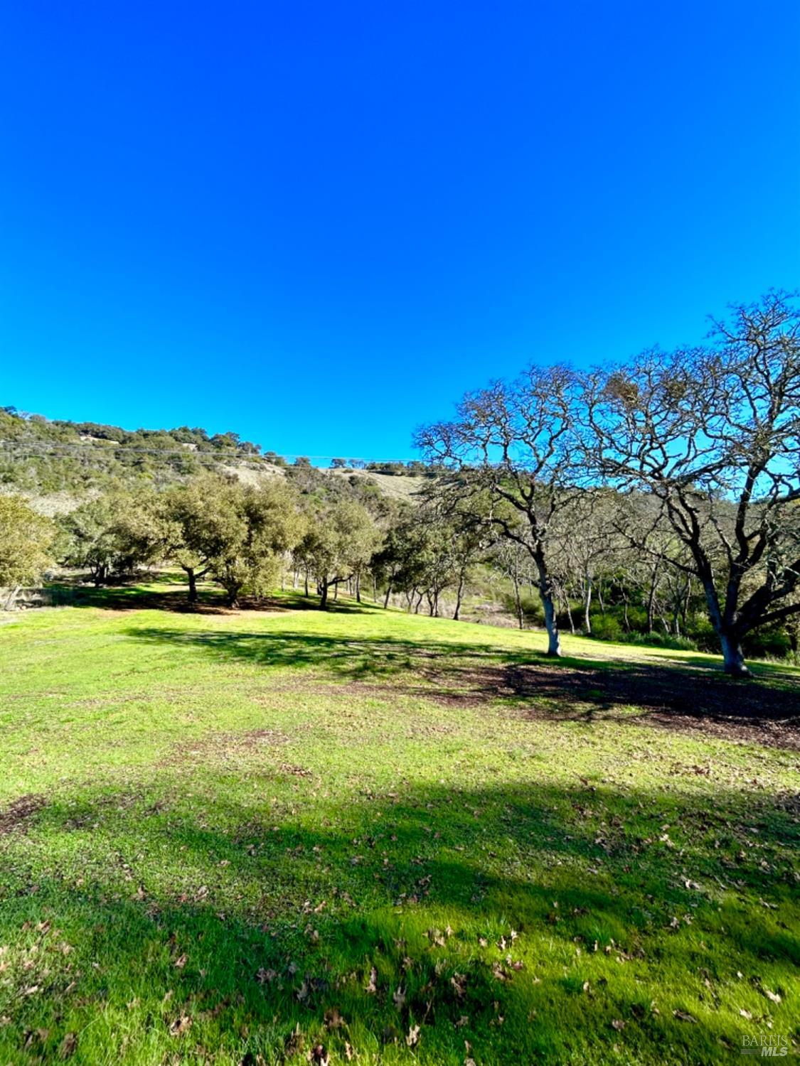 Detail Gallery Image 7 of 38 For 1860 Mark West Springs Rd, Santa Rosa,  CA 95404 - – Beds | – Baths