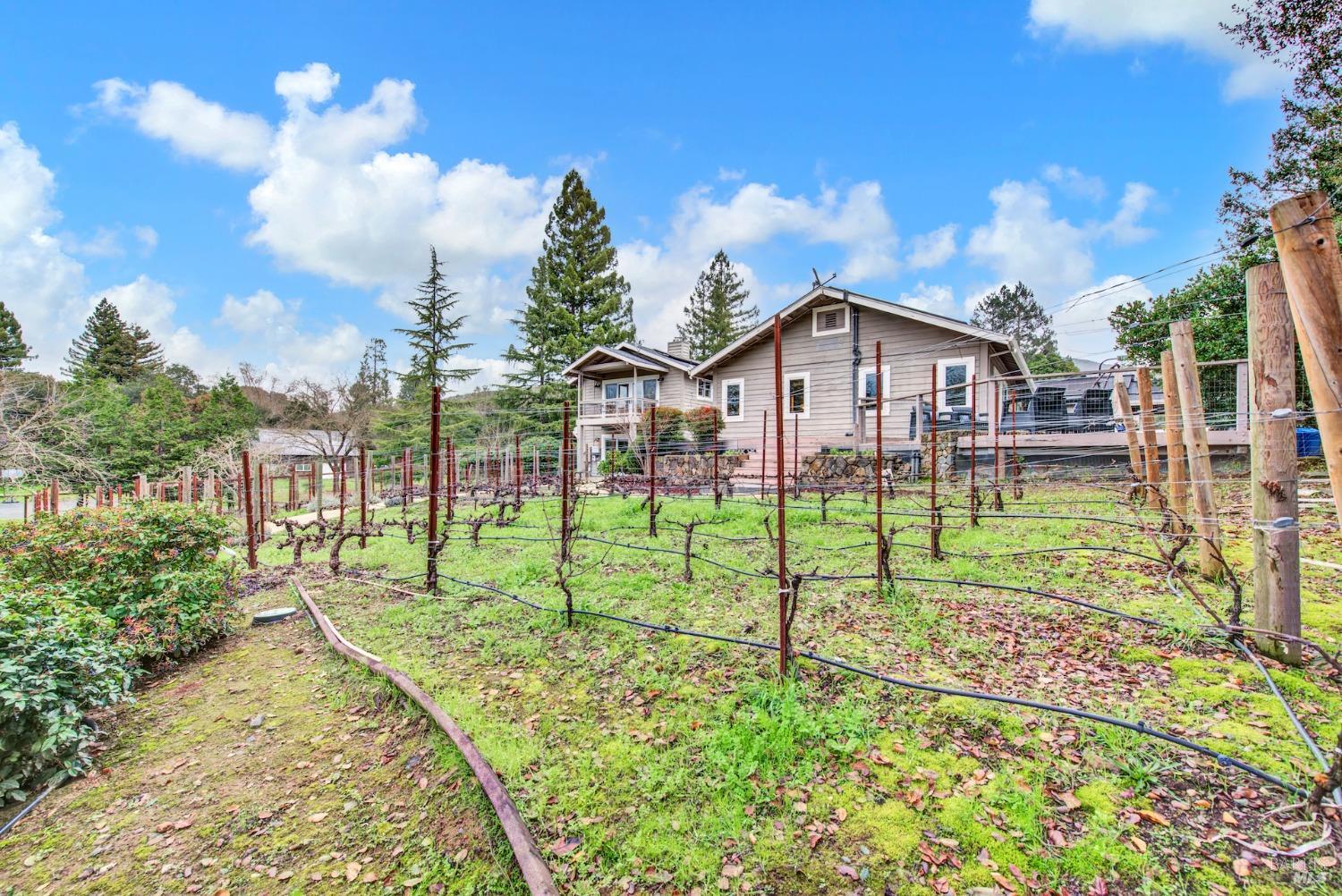 Detail Gallery Image 95 of 99 For 1085 La Grande Ave, Napa,  CA 94558 - 4 Beds | 3/1 Baths