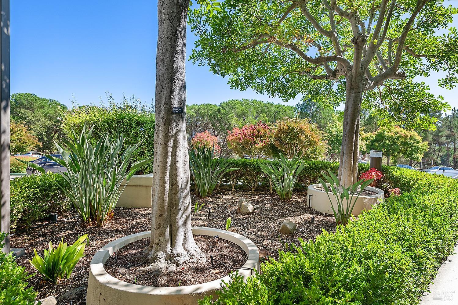 Detail Gallery Image 24 of 26 For 100 Thorndale Dr #432,  San Rafael,  CA 94903 - 1 Beds | 1 Baths