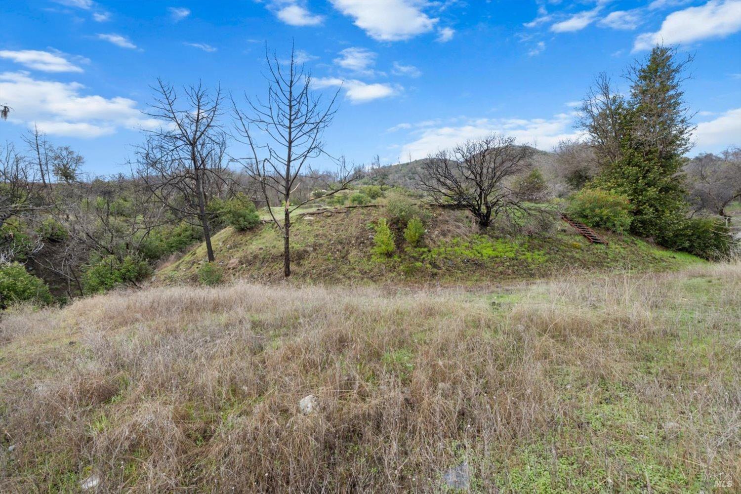 Detail Gallery Image 10 of 42 For 8 Live Oak Ln, Napa,  CA 94558 - – Beds | – Baths