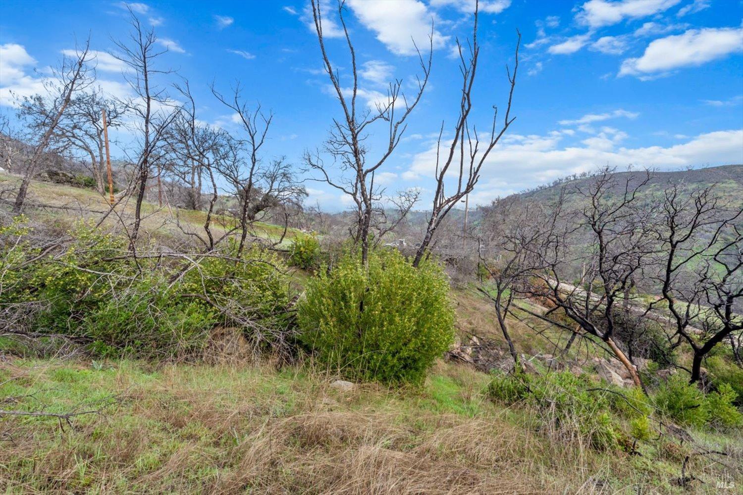 Detail Gallery Image 17 of 42 For 8 Live Oak Ln, Napa,  CA 94558 - – Beds | – Baths