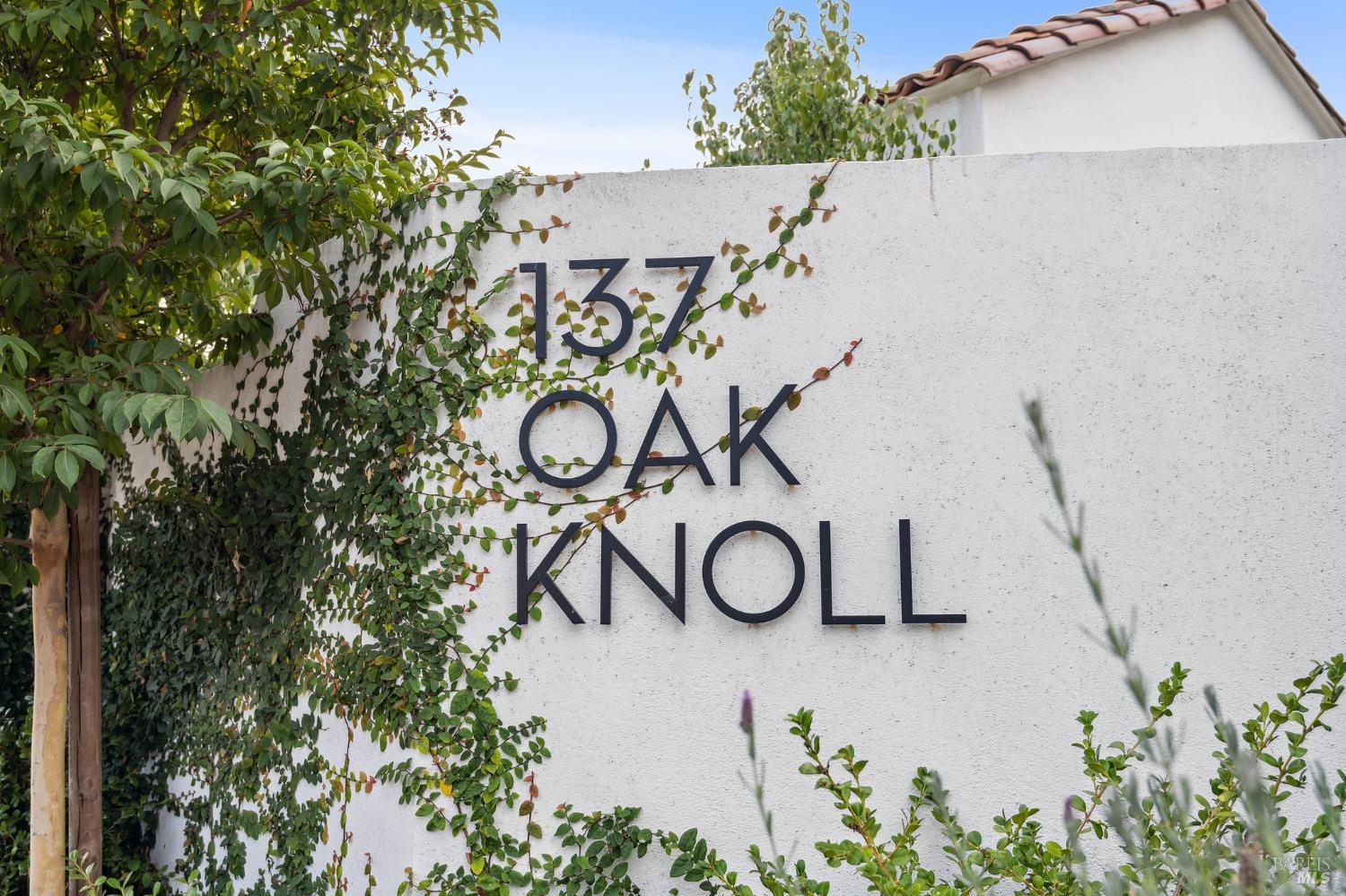 Detail Gallery Image 59 of 64 For 137 Oak Knoll Ave, San Anselmo,  CA 94960 - 4 Beds | 3/1 Baths