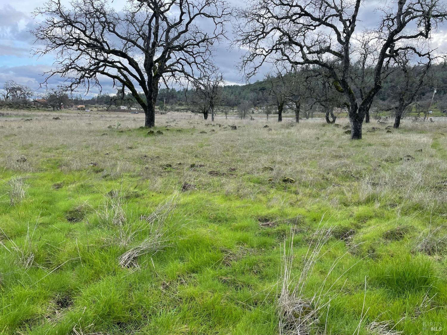 Raccoon Flat Road, Lower Lake, California image 3