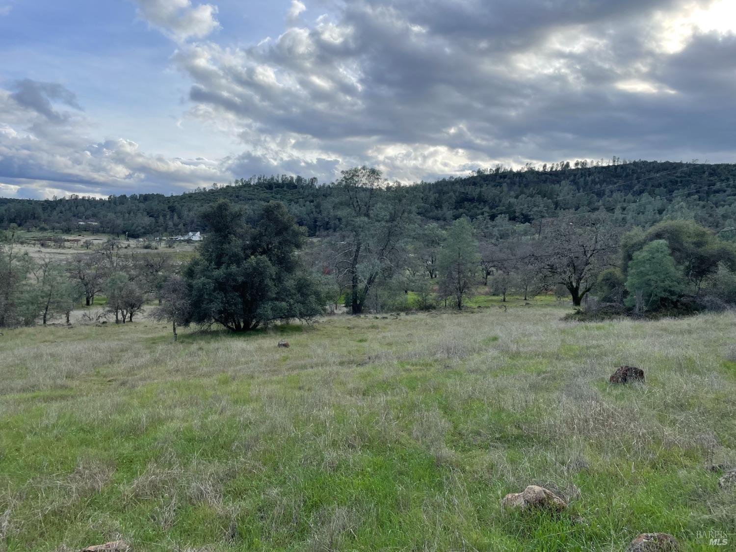 Raccoon Flat Road, Lower Lake, California image 9