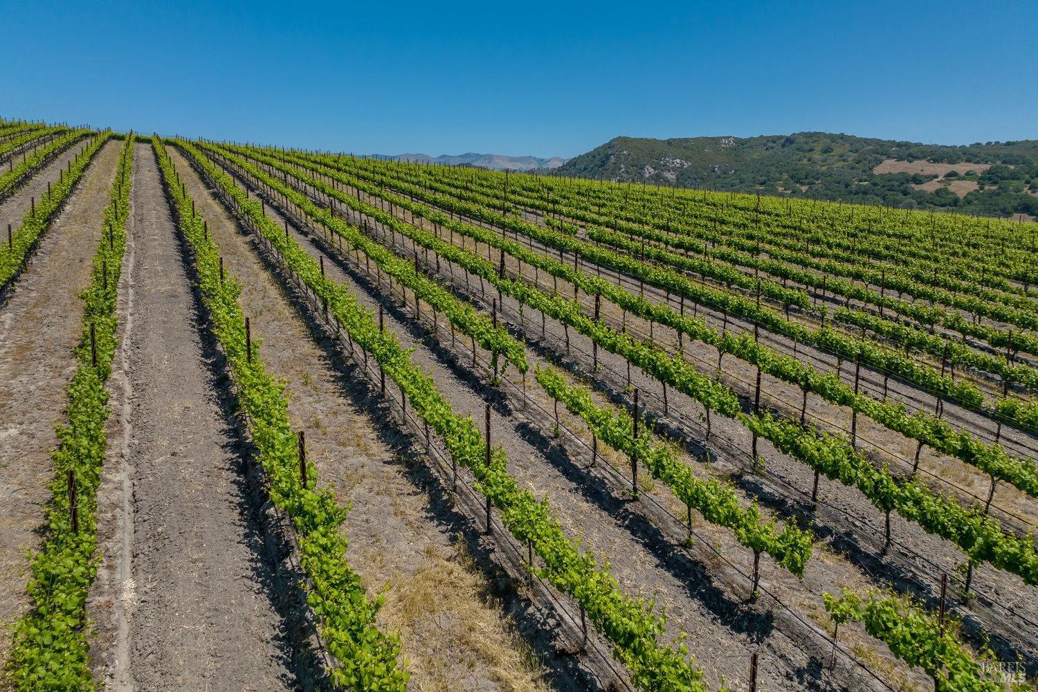 Detail Gallery Image 35 of 52 For 500 Spanish Springs Dr, San Luis Obispo,  CA 93401 - 3 Beds | 2 Baths