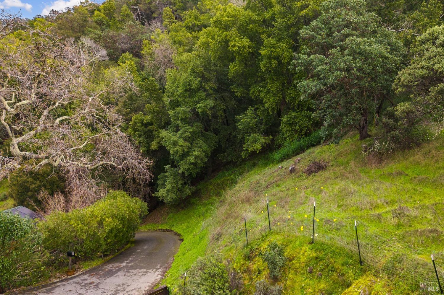 Edgehill Way, San Rafael, California image 5