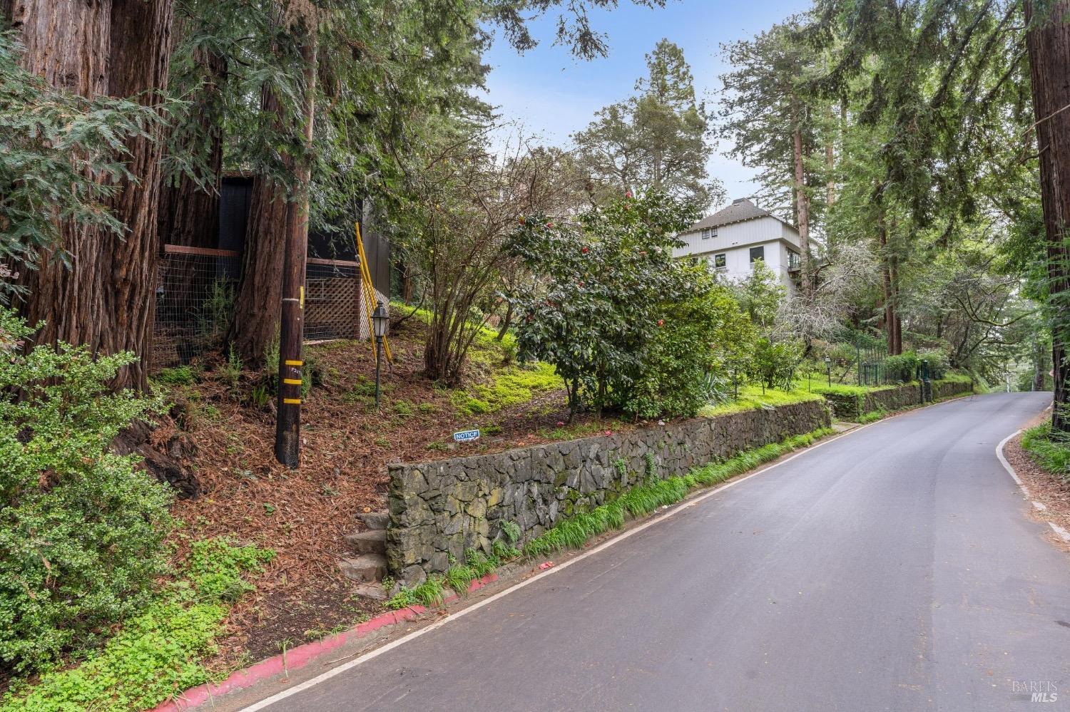 Photo of 316 Blithedale Ave in Mill Valley, CA