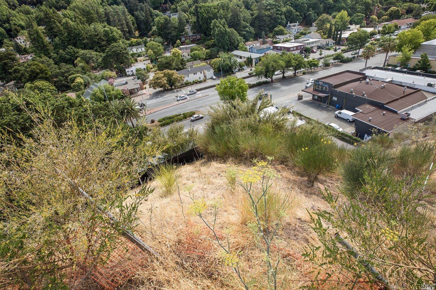 Detail Gallery Image 7 of 8 For 51 El Camino Ave, San Rafael,  CA 94901 - – Beds | – Baths