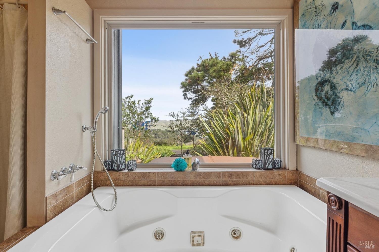 Detail Gallery Image 76 of 91 For 1208 Pierce Point Rd, Inverness,  CA 94937 - 6 Beds | 4/1 Baths