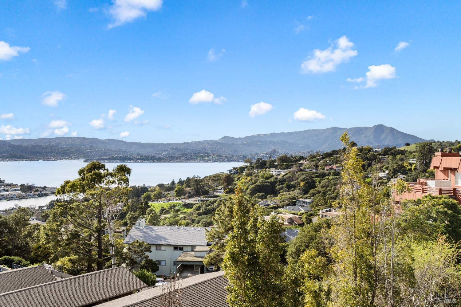 Detail Gallery Image 3 of 56 For 99 Lyford Dr #40,  Tiburon,  CA 94920 - 2 Beds | 2 Baths