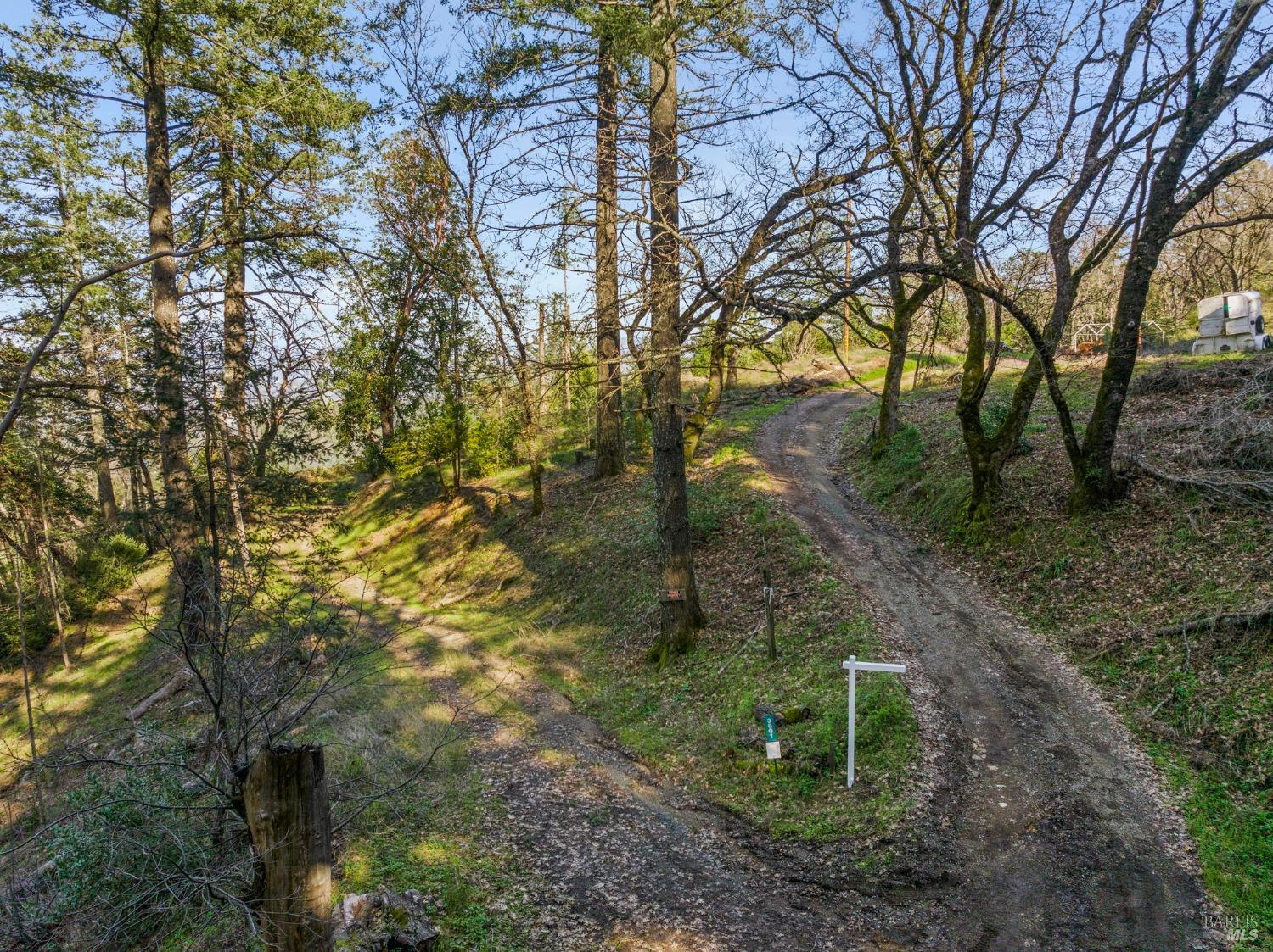 Mount Veeder Road, Napa, California image 7