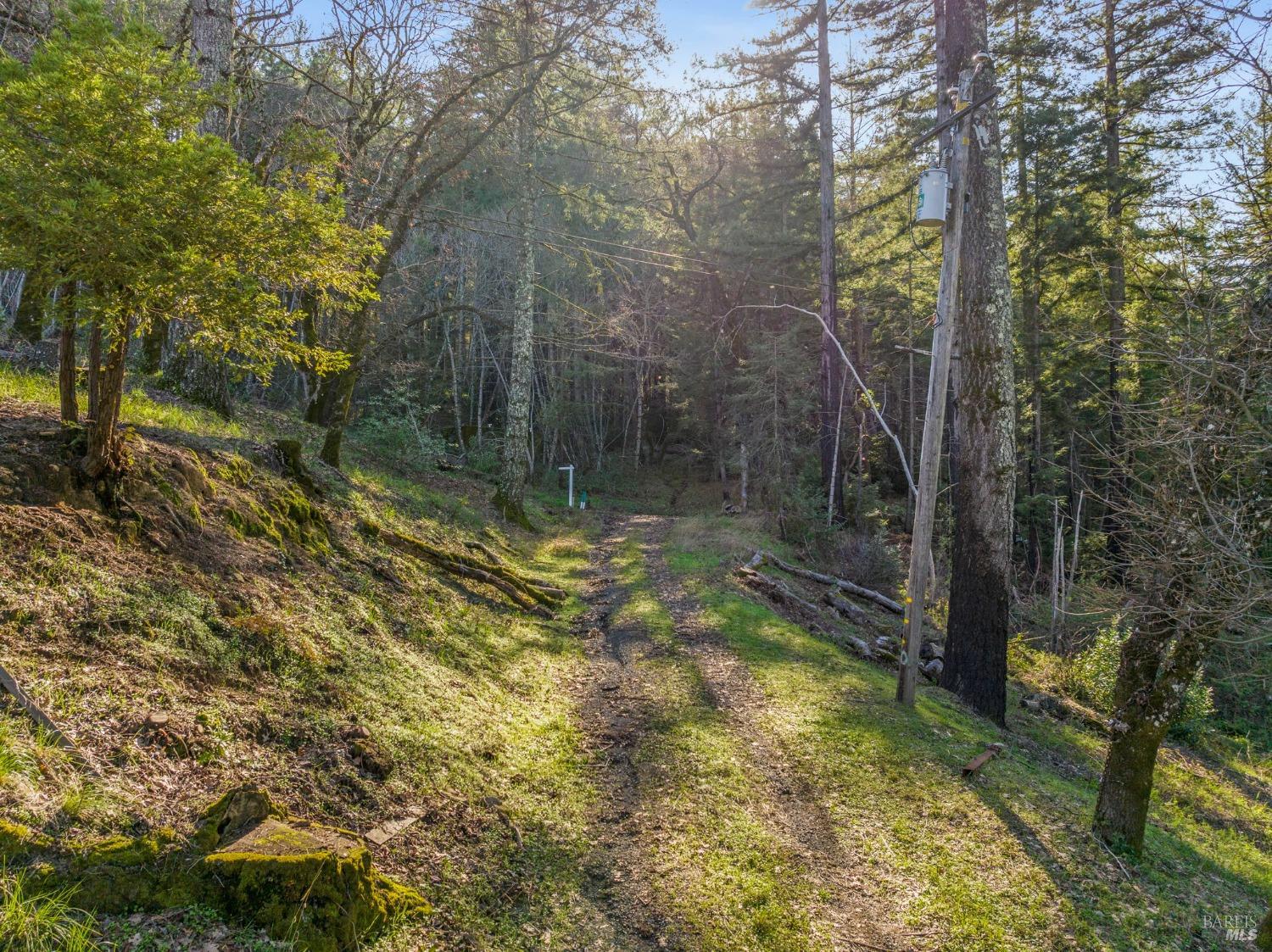 Mount Veeder Road, Napa, California image 23