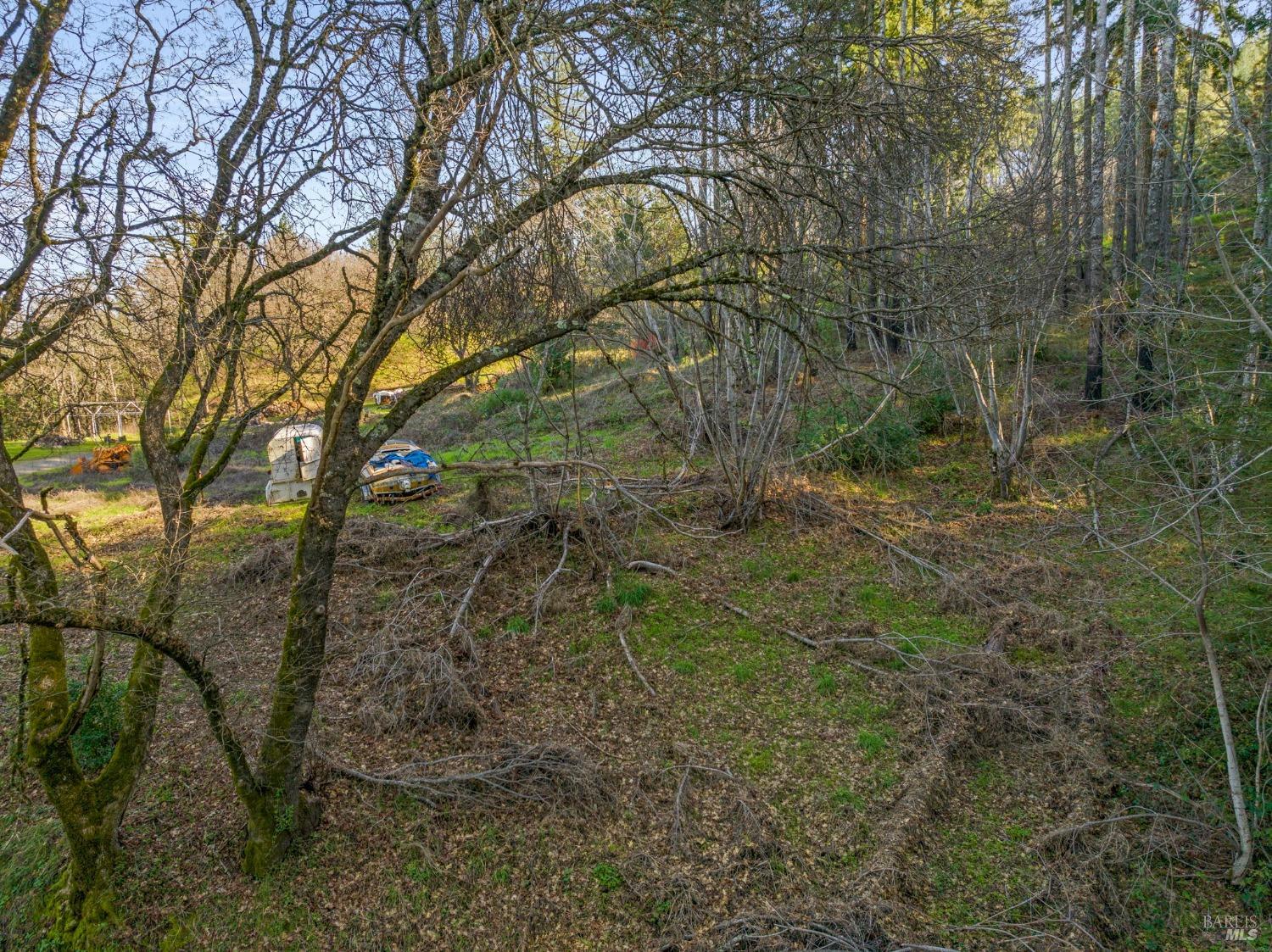 Mount Veeder Road, Napa, California image 8