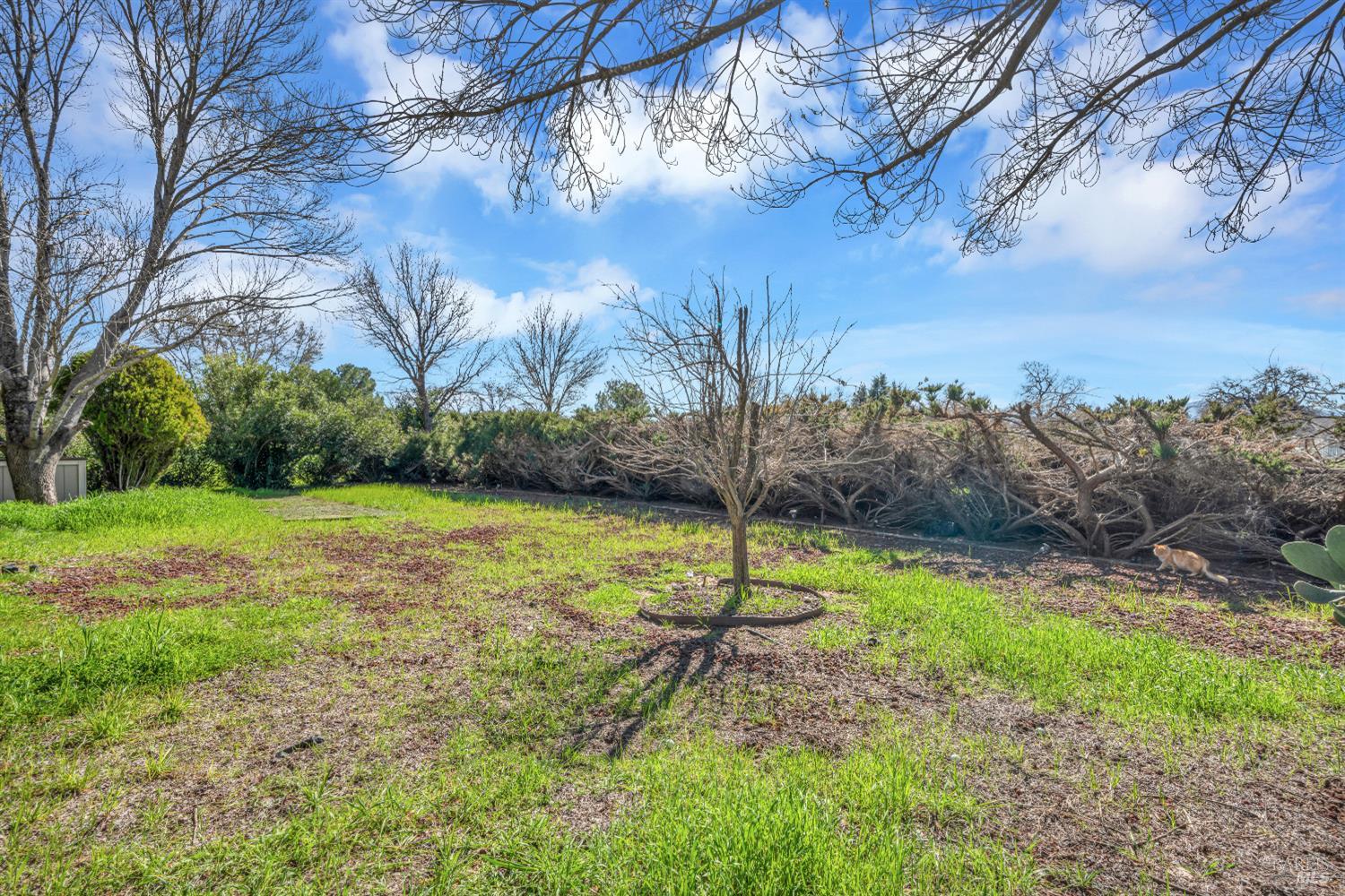 Detail Gallery Image 20 of 25 For 19405 Old Creek Rd, Hidden Valley Lake,  CA 95467 - 3 Beds | 2 Baths