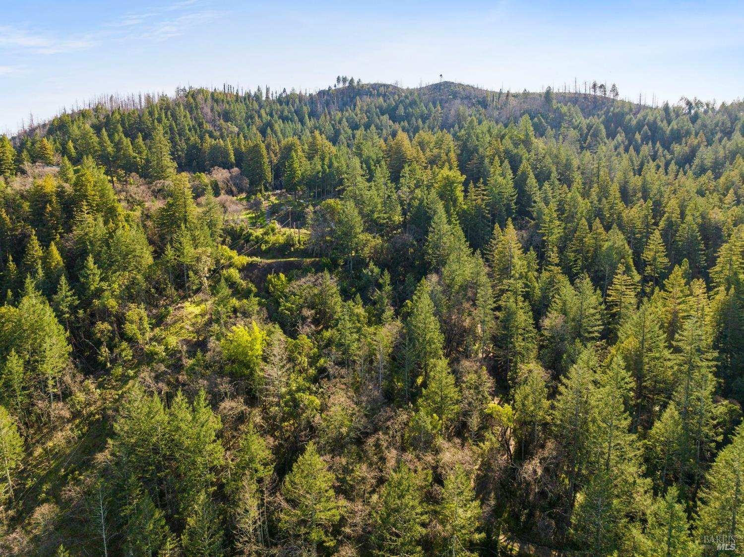 Mount Veeder Road, Napa, California image 20