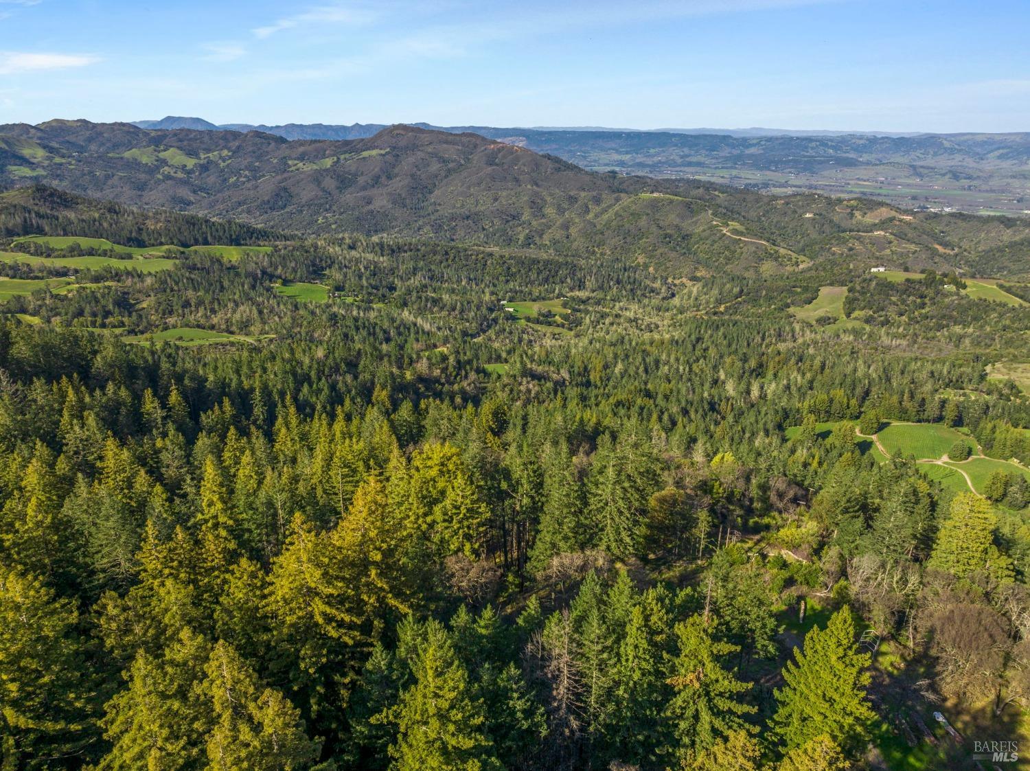 Mount Veeder Road, Napa, California image 28