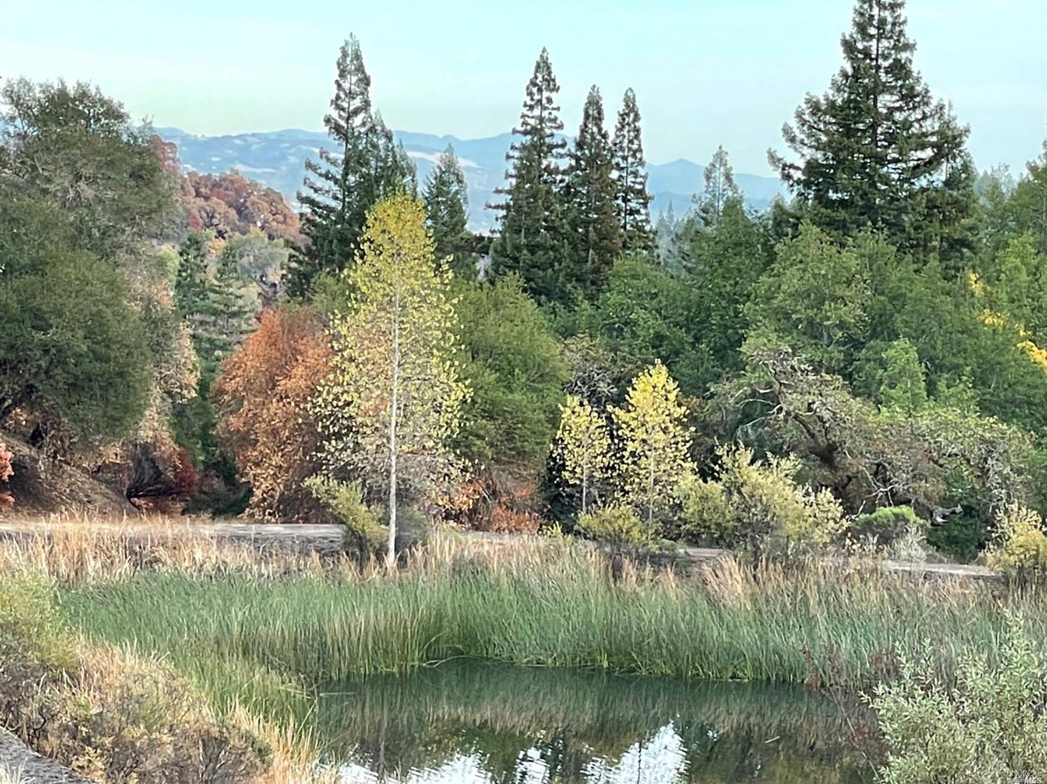 Amazing views with 3 ponds on this 475 Ac only 15 minutes west of Healdsburg's downtown Plaza (5 miles) and 80 min to Golden Gate Bridge.  Seclusion at its best with local amenities nearby in a world class small town and easy reach to a world class big City. With 4 legally separate parcels, this offering will be of interest to the buyer looking to build an estate, a family compound, a conservation legacy, or just a good place to park money for the next generation or the next 1031 exchange.