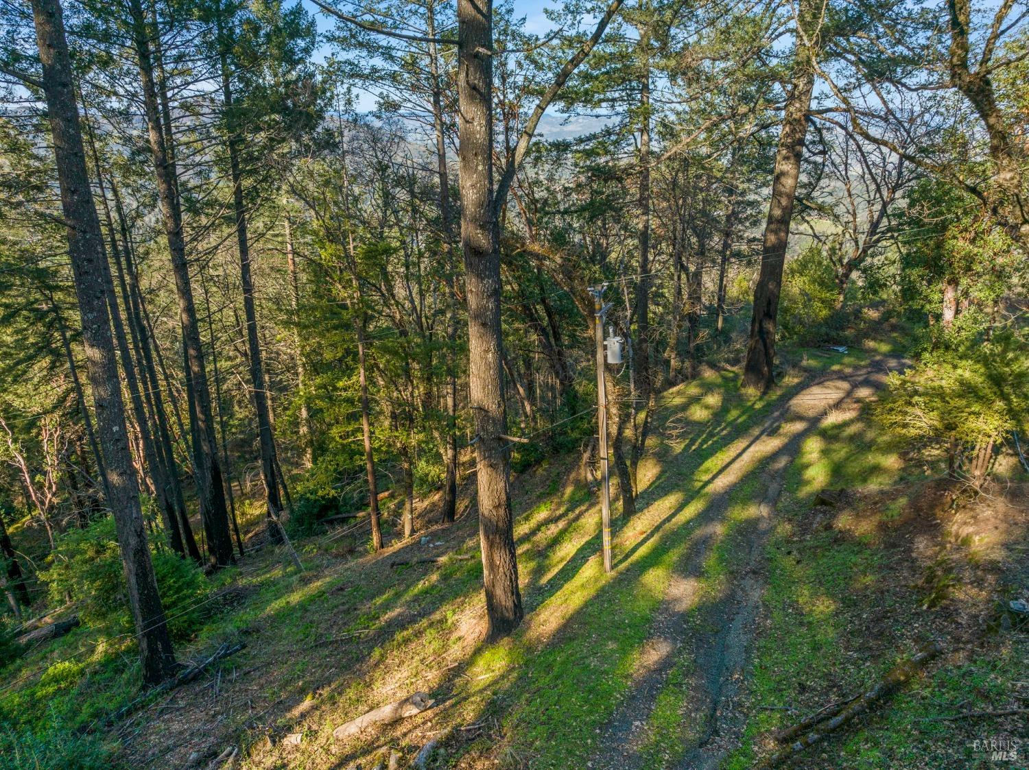 Mount Veeder Road, Napa, California image 6