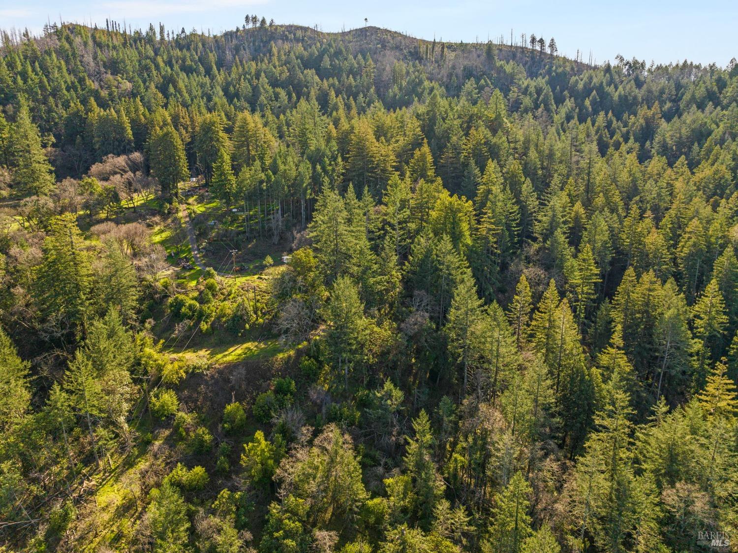 Mount Veeder Road, Napa, California image 17