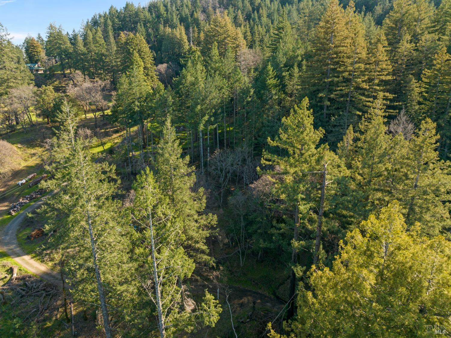 Mount Veeder Road, Napa, California image 26