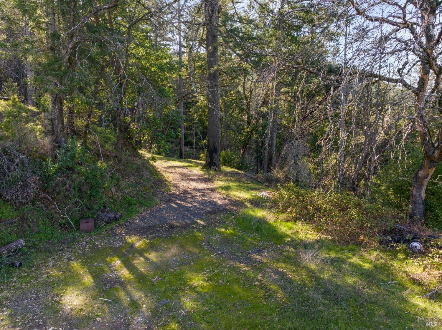 Detail Gallery Image 22 of 35 For 3601 Mount Veeder Rd, Napa,  CA 94558 - – Beds | – Baths