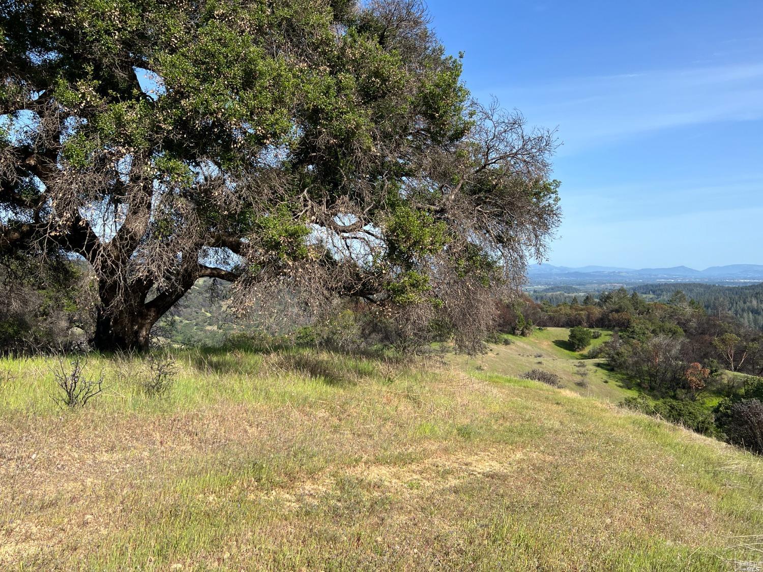 Detail Gallery Image 8 of 11 For 4100 Wallace Creek Rd, Healdsburg,  CA 95448 - – Beds | – Baths