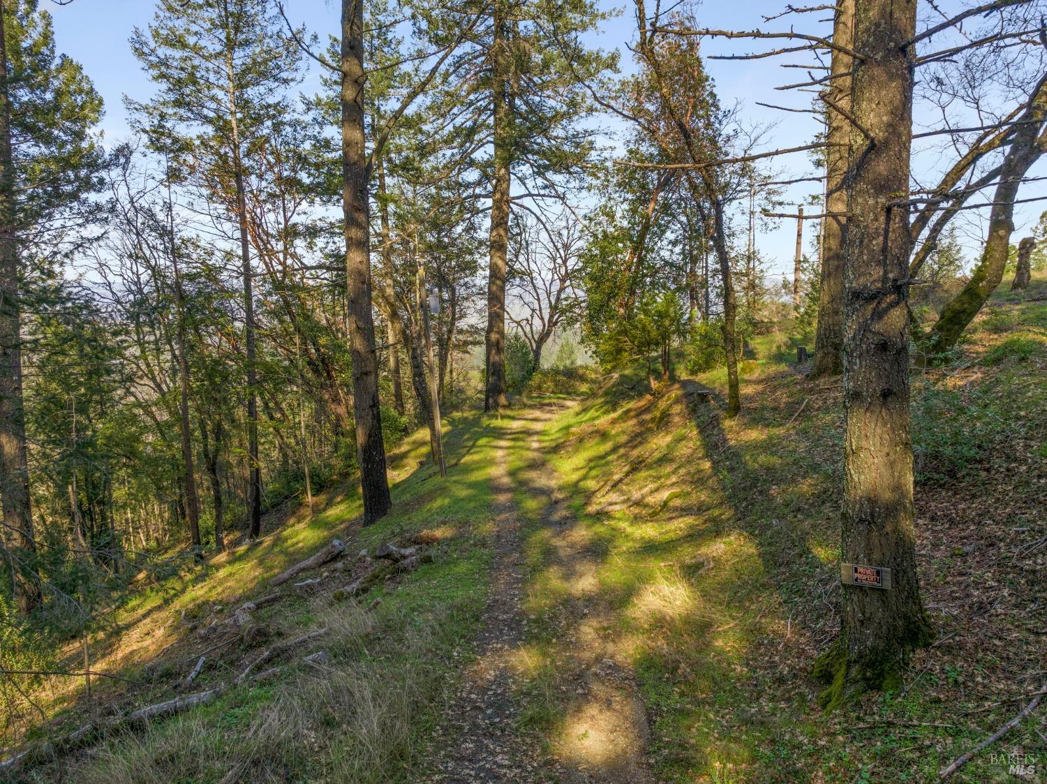 Detail Gallery Image 24 of 35 For 3601 Mount Veeder Rd, Napa,  CA 94558 - – Beds | – Baths