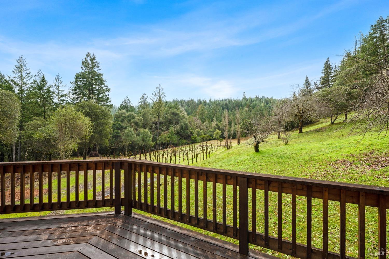 Detail Gallery Image 51 of 69 For 9601 Ravens Pike Rd, Boonville,  CA 95415 - 2 Beds | 4 Baths