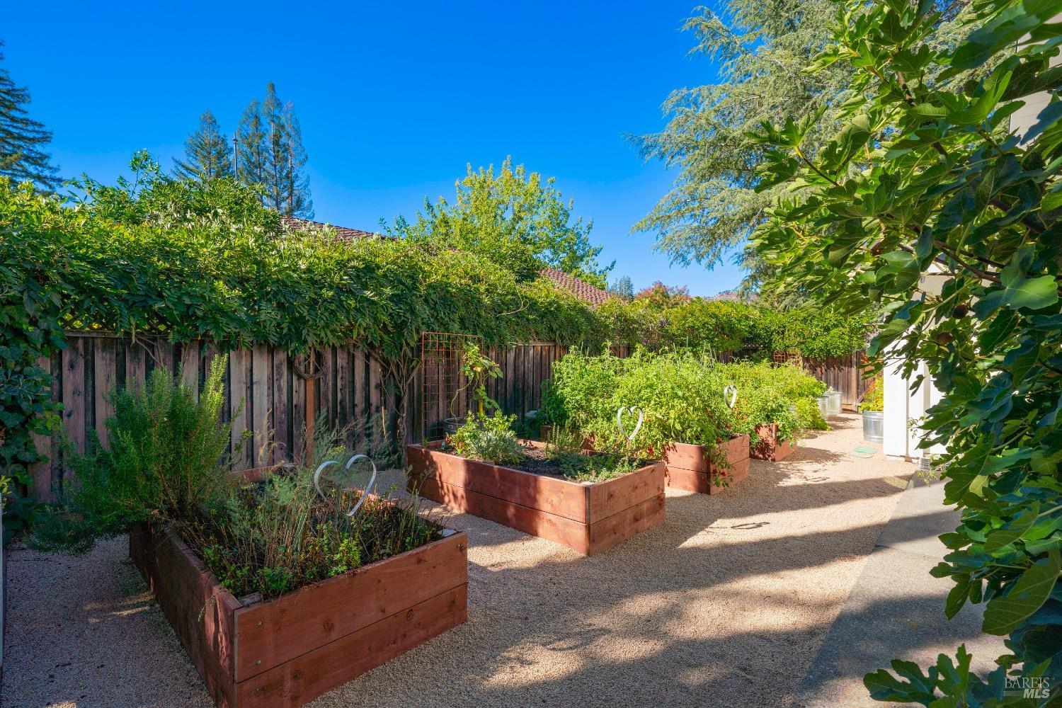 Detail Gallery Image 54 of 69 For 2543 Pinot Way, Saint Helena,  CA 94574 - 3 Beds | 2 Baths
