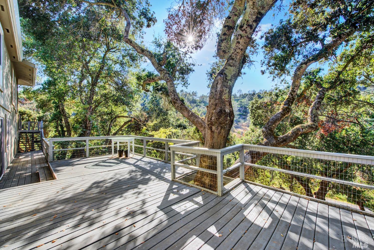Detail Gallery Image 21 of 29 For 3062 Soda Canyon Rd, Napa,  CA 94558 - 5 Beds | 4 Baths