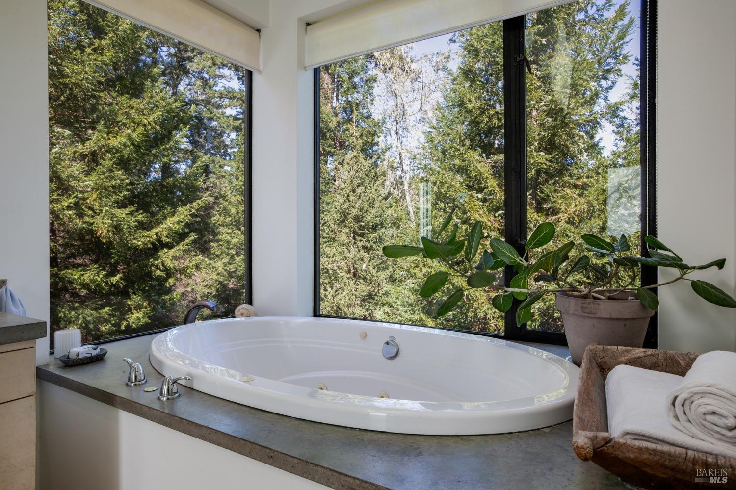 Detail Gallery Image 18 of 48 For 12 Meadow View Ln, San Geronimo,  CA 94963 - 4 Beds | 4/1 Baths