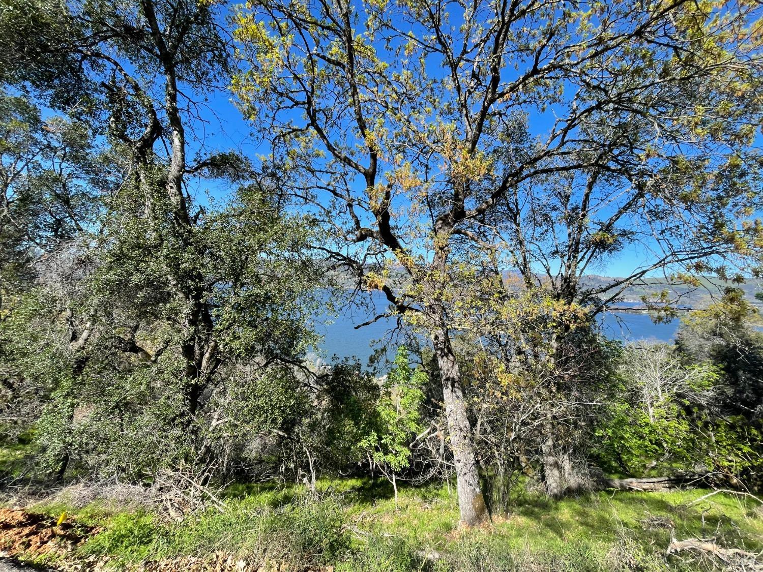 Photo of 12000 North Dr in Clearlake, CA