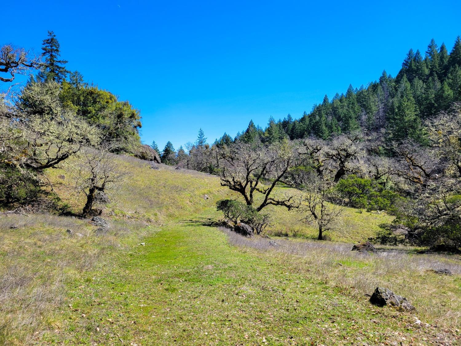 Detail Gallery Image 9 of 71 For 6355 First Gate Rd, Willits,  CA 95490 - – Beds | – Baths