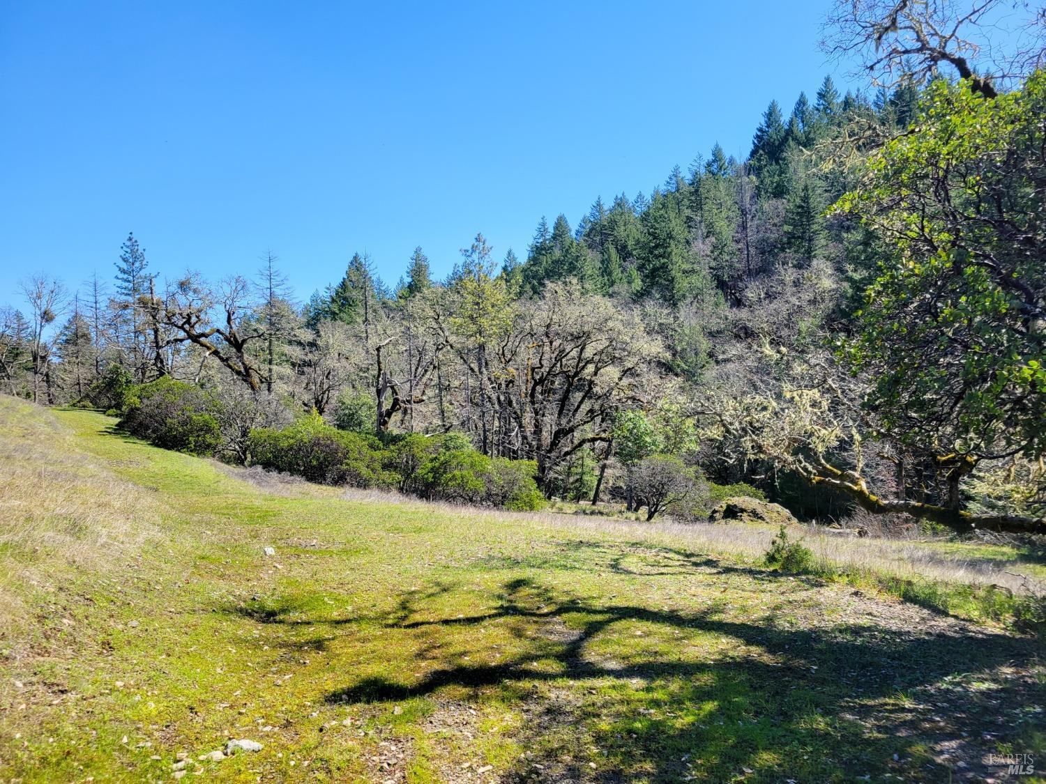 Detail Gallery Image 15 of 71 For 6355 First Gate Rd, Willits,  CA 95490 - – Beds | – Baths